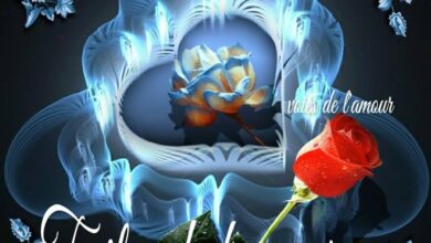 ᐅ belle image bonne nuit - Bonne nuit images gratuites