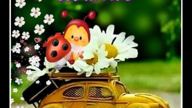 ᐅ belles images bon week end - Bon week-end images gratuites