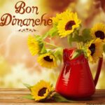 ᐅ bon dimanche - Automne images gratuites