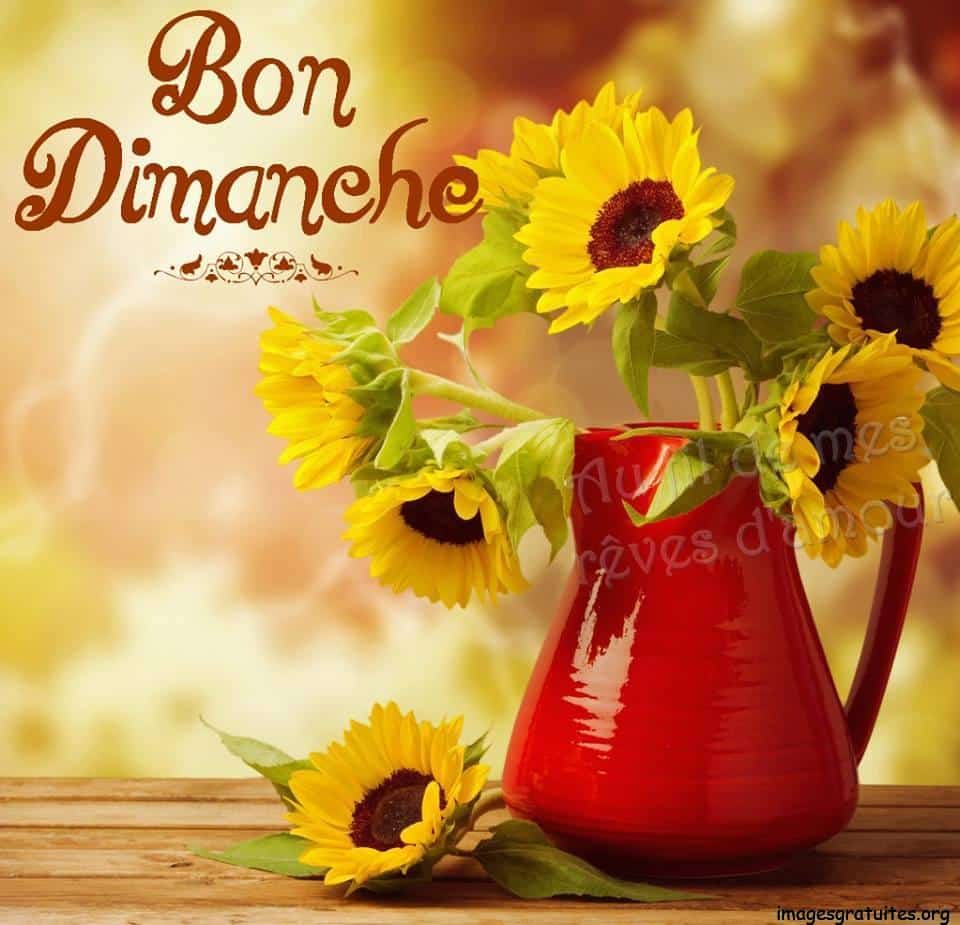 ᐅ bon dimanche - Dimanche images gratuites