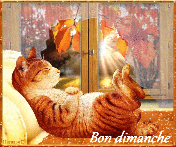 ᐅ bon dimanche automne - Automne images gratuites