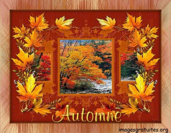 ᐅ bon dimanche automne - Automne images gratuites