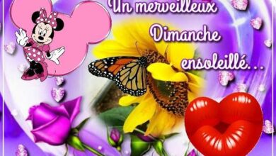 ᐅ bon dimanche ensoleillé - Dimanche images gratuites