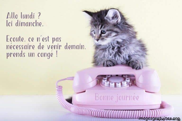 bon dimanche humour