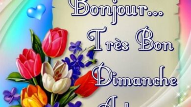 ᐅ bon dimanche à tous - Dimanche images gratuites