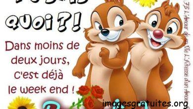 ᐅ bon jeudi humour - Jeudi images gratuites