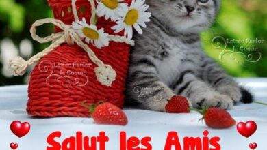 ᐅ bon lundi - Lundi images gratuites