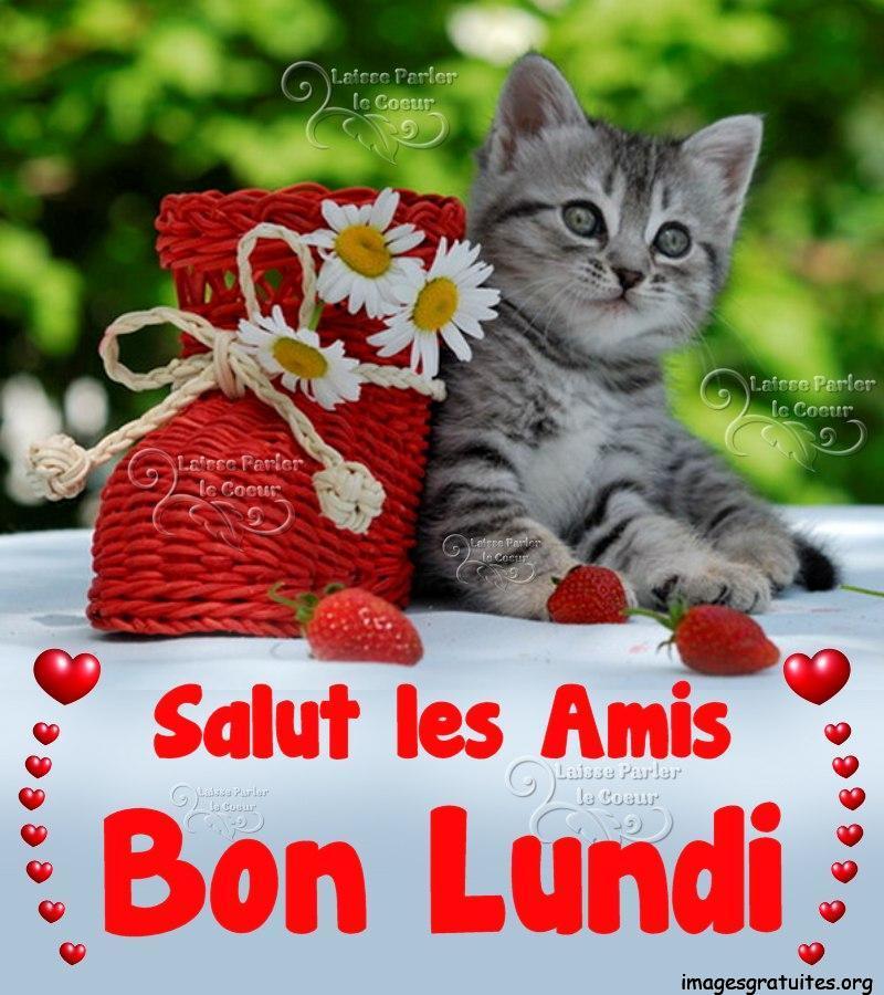 ᐅ bon lundi - Lundi images gratuites