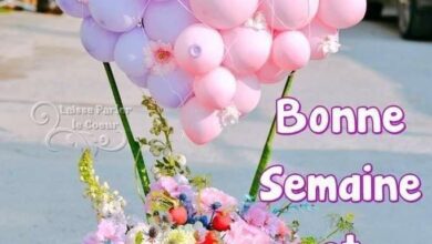 ᐅ bon lundi bonne semaine - Lundi images gratuites
