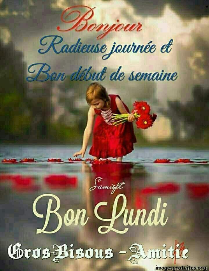 ᐅ bon lundi citation - Lundi images gratuites