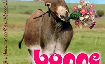 ᐅ bon lundi et bonne semaine - Lundi images gratuites