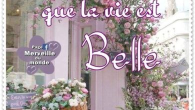 ᐅ bon lundi et bonne semaine citation - Bonne semaine images gratuites