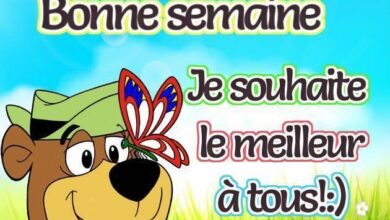 ᐅ bon lundi et bonne semaine humour - Lundi images gratuites