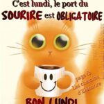 ᐅ bon lundi humour - Lundi images gratuites