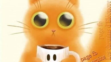 ᐅ bon lundi humour - Lundi images gratuites