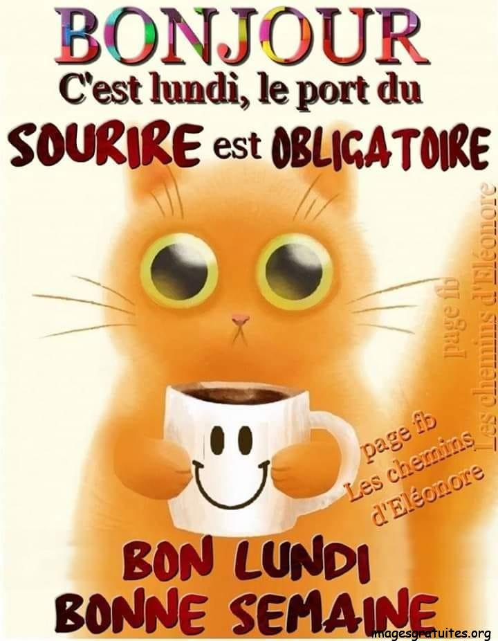 ᐅ bon lundi humour - Lundi images gratuites