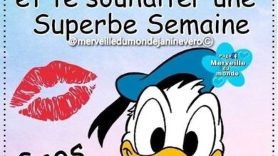 ᐅ bon lundi humour bisous - Lundi images gratuites