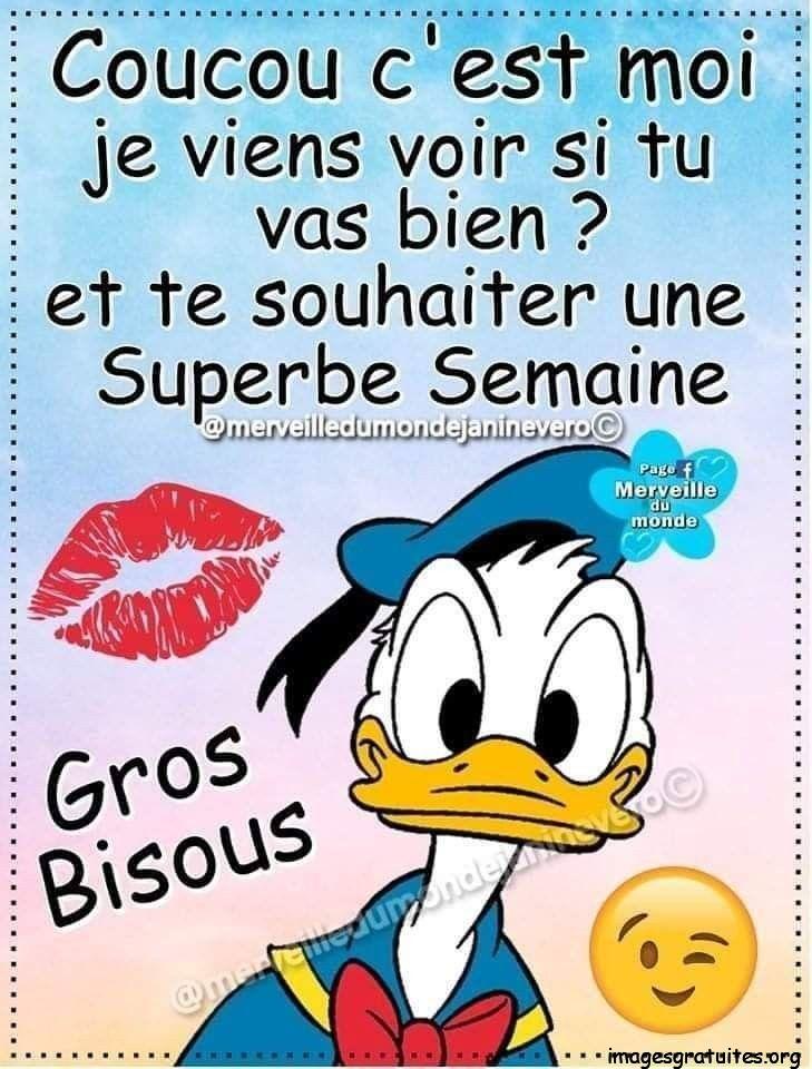 ᐅ bon lundi humour bisous - Lundi images gratuites