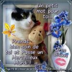 ᐅ bon mardi bisous - Mardi images gratuites