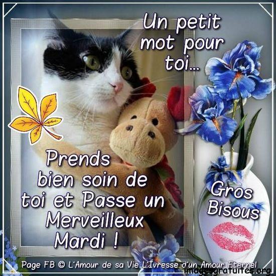 ᐅ bon mardi bisous - bon mardi bisous images gratuites