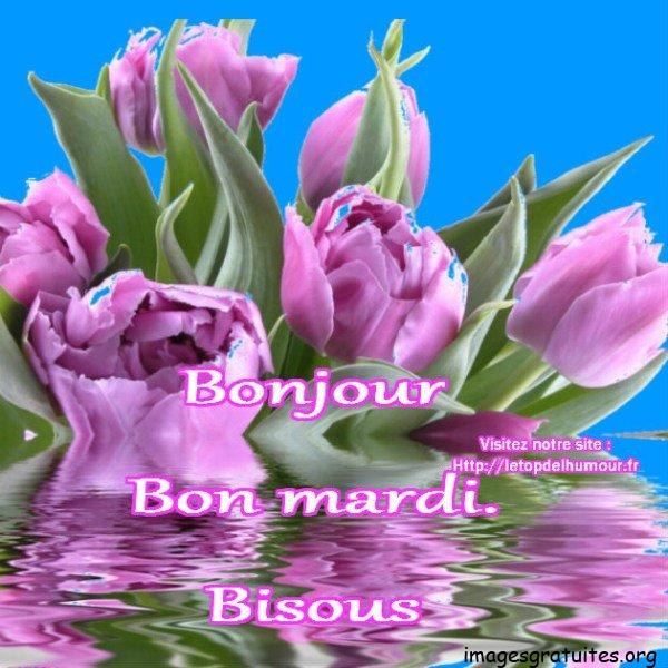 ᐅ bon mardi bisous - Mardi images gratuites