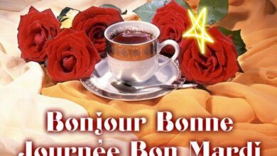 ᐅ bon mardi bonne journée - Mardi images gratuites