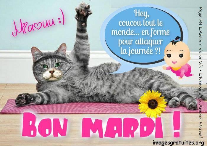 ᐅ bon mardi humour - bon mardi humour images gratuites