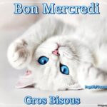 ᐅ bon mercredi chat - Mercredi images gratuites