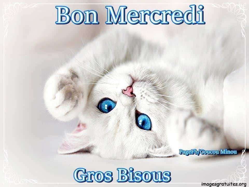 ᐅ bon mercredi chat - bon mercredi chat images gratuites