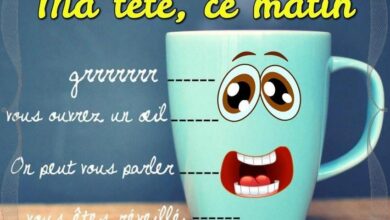 ᐅ bon mercredi drole - Mercredi images gratuites