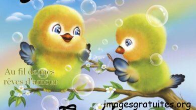 ᐅ bon mercredi gros bisous - Mercredi images gratuites