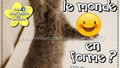 ᐅ bon mercredi humour - Mercredi images gratuites
