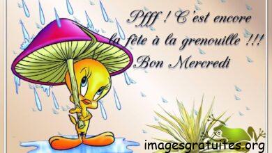 ᐅ bon mercredi pluvieux - Mercredi images gratuites
