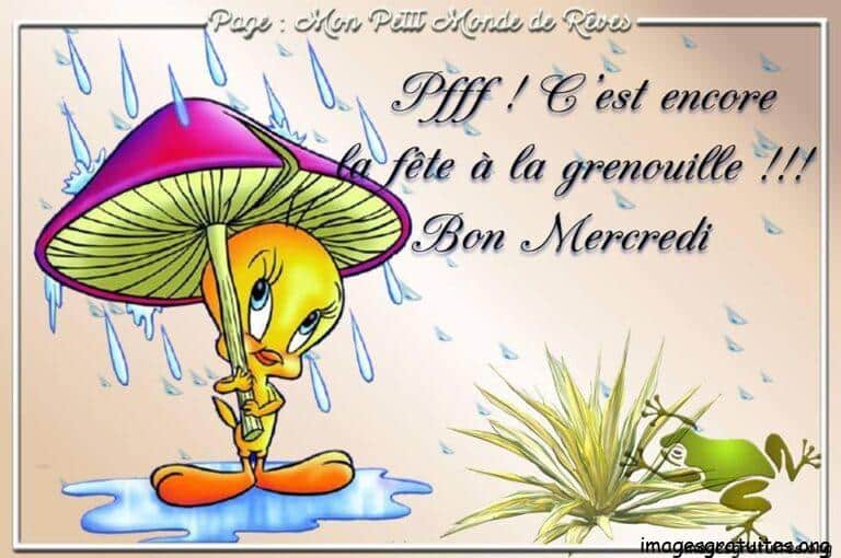bon mercredi pluvieux