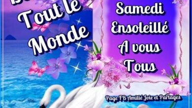 ᐅ bon samedi ensoleillé - Samedi images gratuites