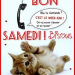 ᐅ bon samedi humour - Samedi images gratuites