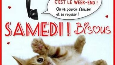 ᐅ bon samedi humour - Samedi images gratuites