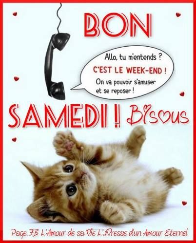 ᐅ bon samedi humour - Samedi images gratuites