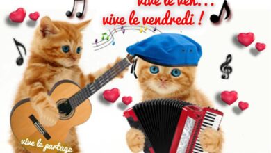 ᐅ bon vendredi humour - Vendredi images gratuites