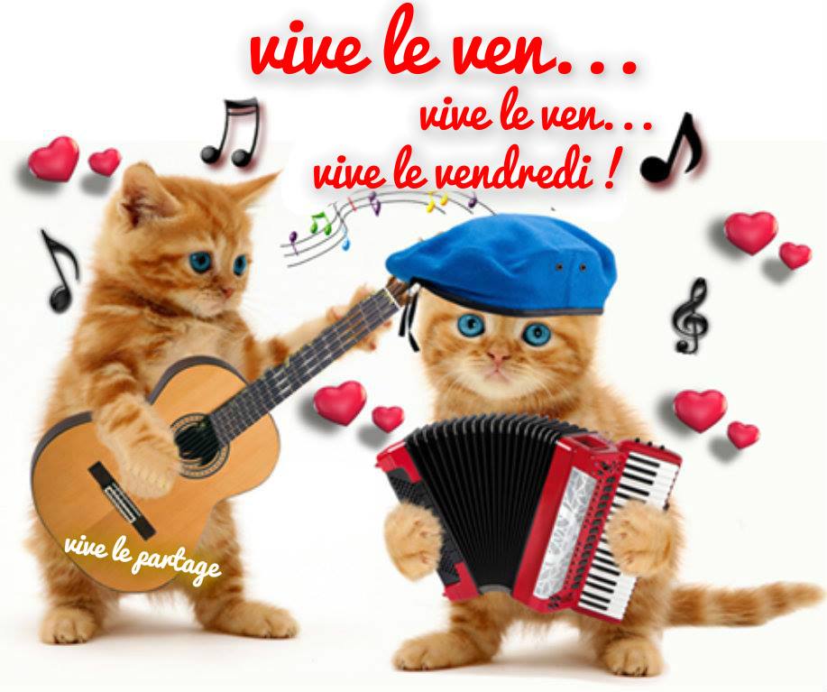ᐅ bon vendredi humour - Bon week-end images gratuites