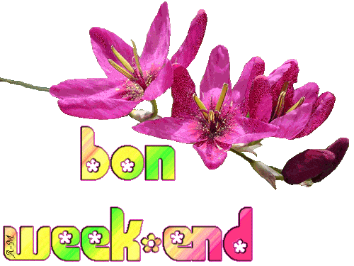 ᐅ bon week-end gif - Bon week-end images gratuites