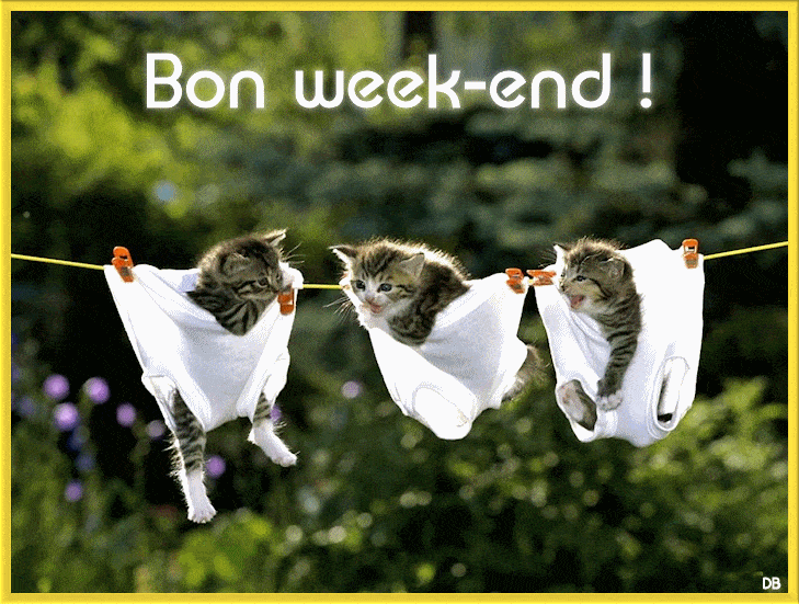 ᐅ bon week end humour - Bon week-end images gratuites