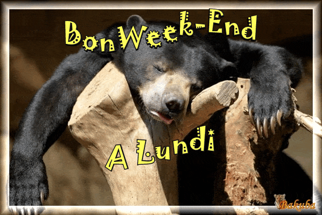 ᐅ bon week end humour gif - Bon week-end images gratuites
