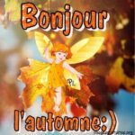 ᐅ bonjour automne - Bon après-midi images gratuites