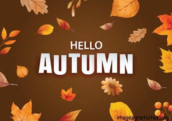 ᐅ bonjour automne - Automne images gratuites