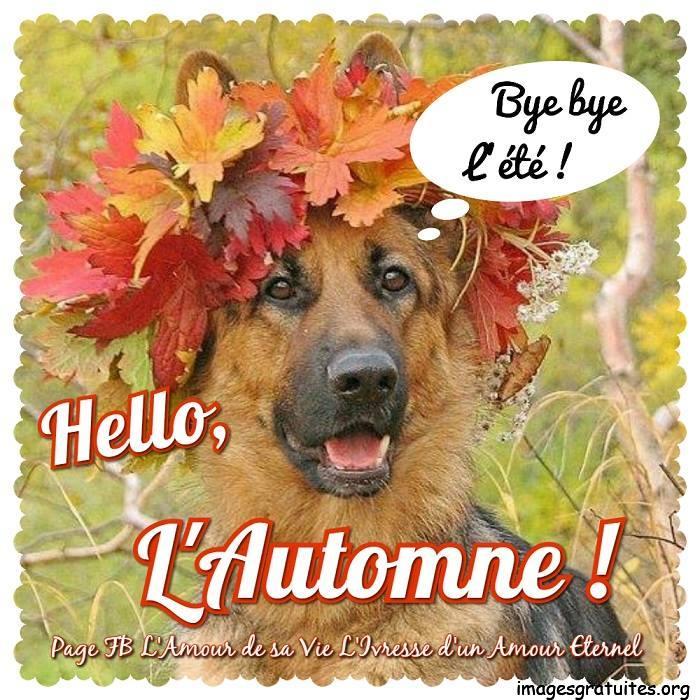 ᐅ bonjour automne image - Automne images gratuites