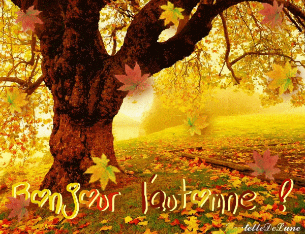 ᐅ bonjour automne image - Automne images gratuites