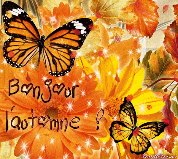 ᐅ bonjour automne image - Automne images gratuites