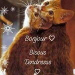 ᐅ bonjour bisous - Bonjour images gratuites