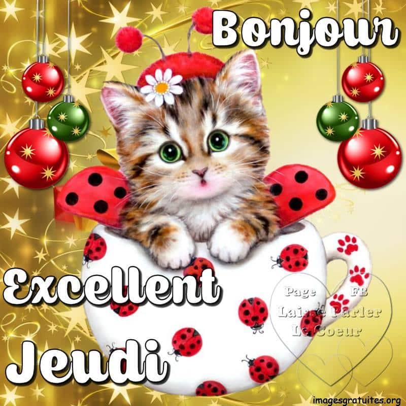 ᐅ bonjour bon jeudi - Jeudi images gratuites